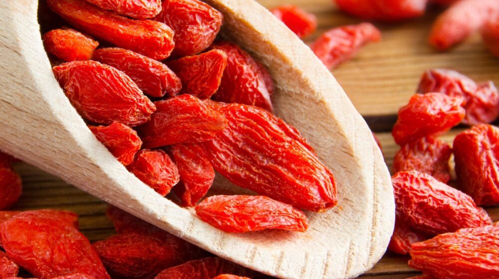 kỷ tử bổ thận tốt sinh lý y duoc thai nguyen