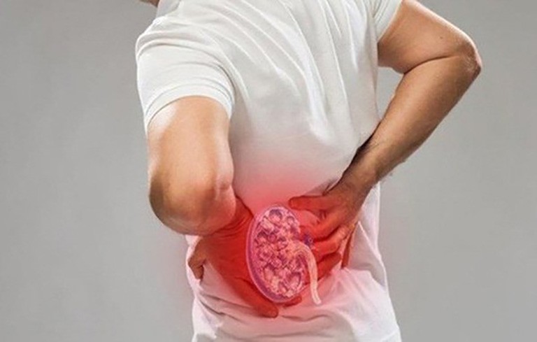 món ăn bổ thận y duoc thai nguyen