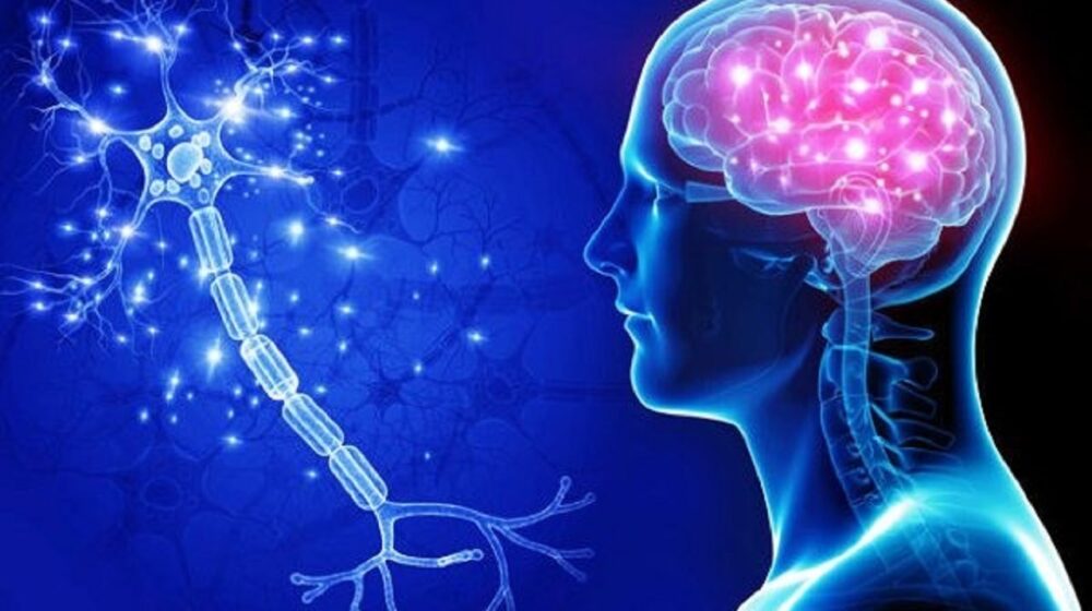 nghiên cứu phát hiện Alzheimer trước nhiều năm y duoc thai nguyen