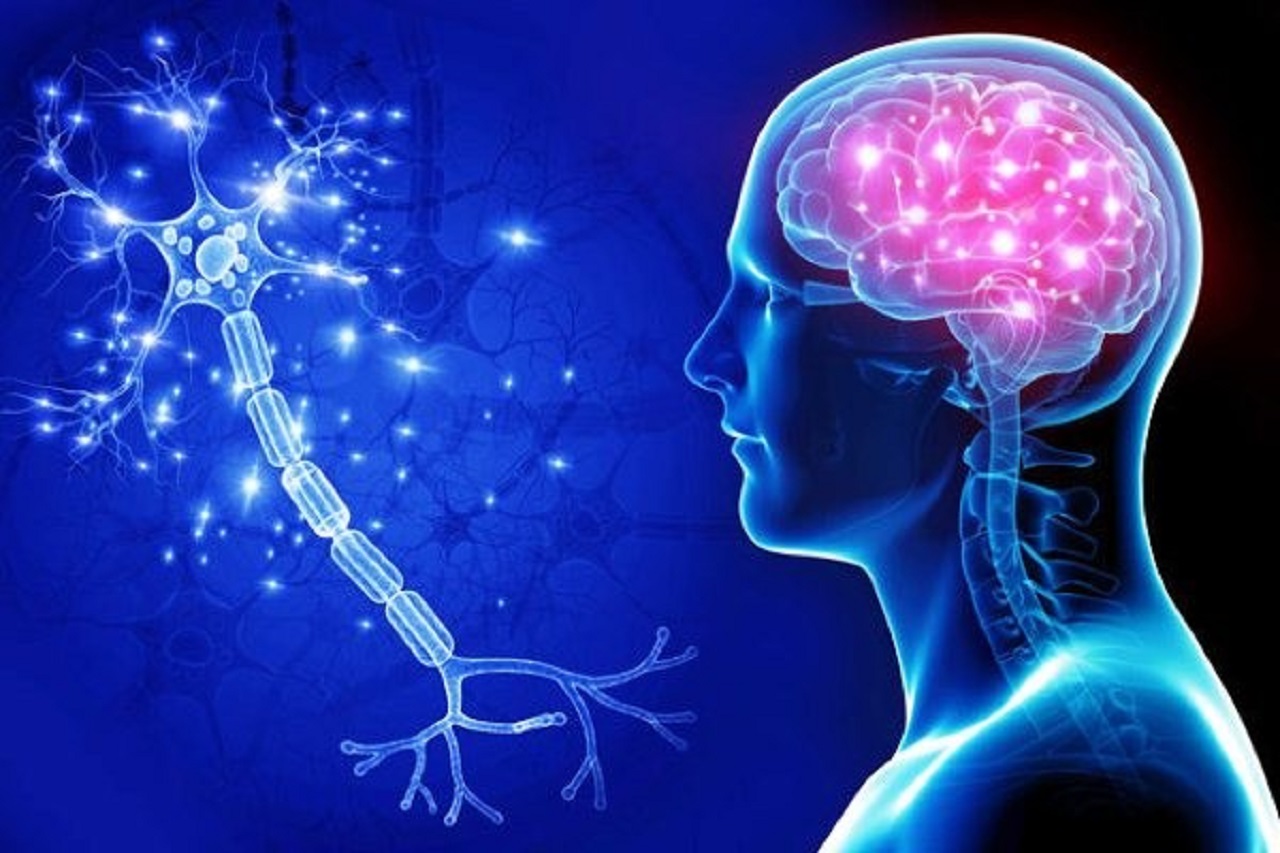 nghiên cứu phát hiện Alzheimer trước nhiều năm y duoc thai nguyen