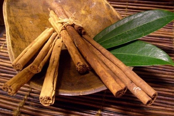 quế tốt cho sinh lý nam nữ y duoc thai nguyen