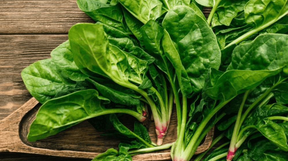 rau xanh hạ huyết áp y duoc thai nguyen