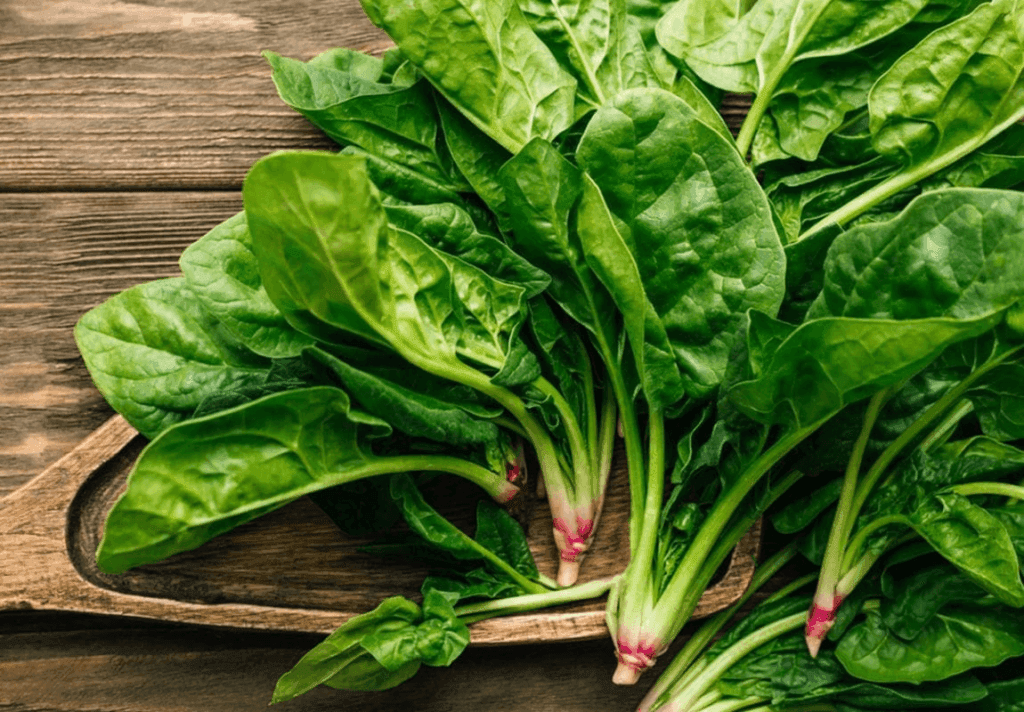 rau xanh hạ huyết áp y duoc thai nguyen