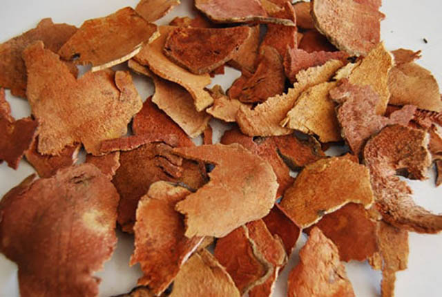 thổ phục linh tăng cường sinh lý nữ y duoc thai nguyen