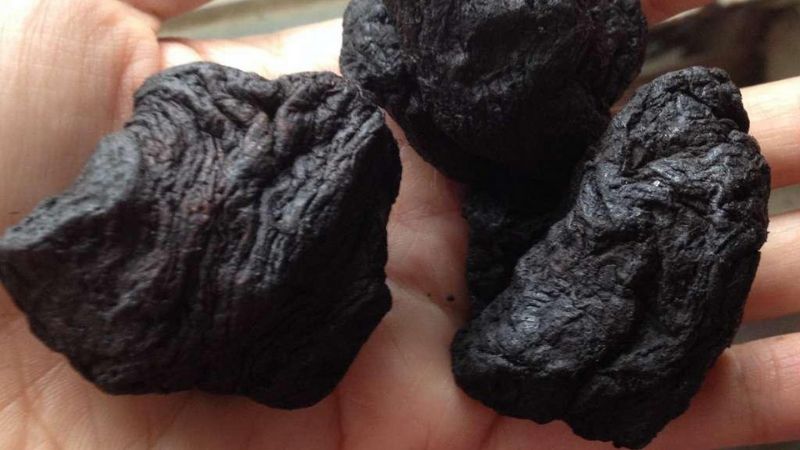 thục địa tăng cường sinh lý y duoc thai nguyen