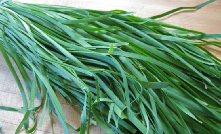 công dụng của hẹ đối với sức khỏe y duoc thai nguyen