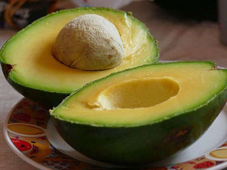 thực phẩm kéo dài tuổi thọ y duoc thai nguyen