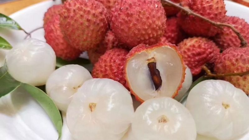 lưu ý ăn vải thiều y duoc thai nguyen