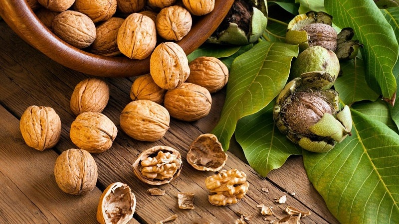 thực phẩm ngừa ung thư và gan nhiễm mỡ y duoc thai nguyen