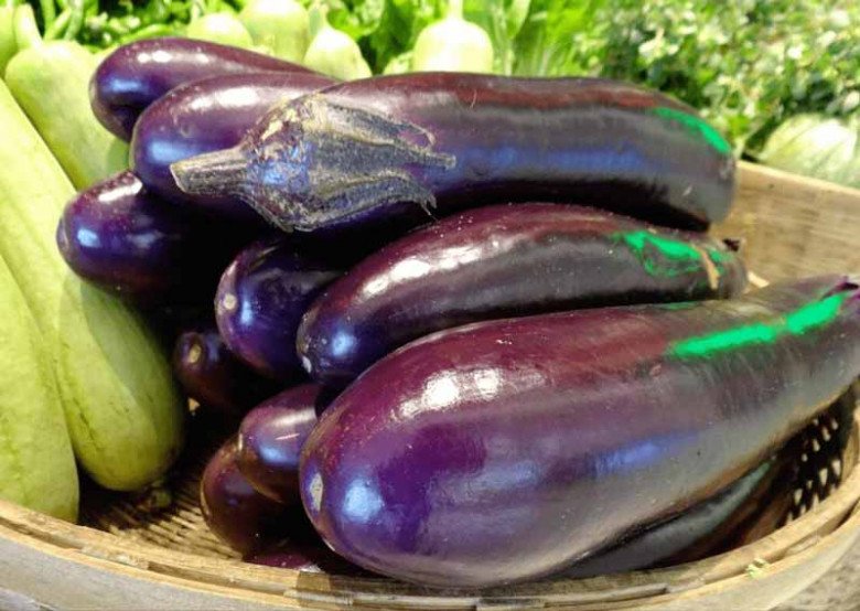 cảnh báo ăn cà tím y duoc thai nguyen